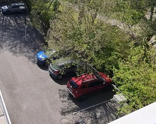 Superbes Du Parc Paradis *